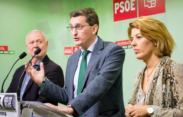 PSOE ve una "tropelía y un abuso" del PP a la provincia y llama la sociedad "a pasar a la acción"