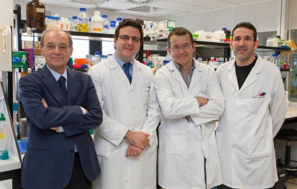 Investigadores del CIMA de la Universidad de Navarra describen una proteína esencial para la regeneración hepática