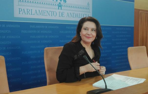 PP-A defiende las cuentas para 2017 y dice que "el auténtico maltrato" a Andalucía viene de Susana Díaz