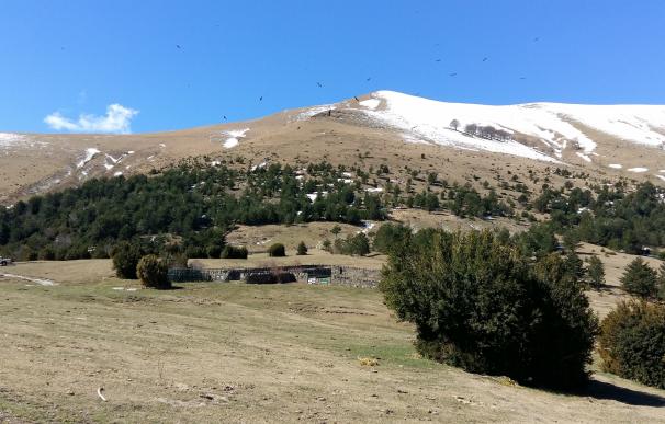Ordesa y Picos de Europa conmemorarán de forma conjunta el centenario de los parques nacionales