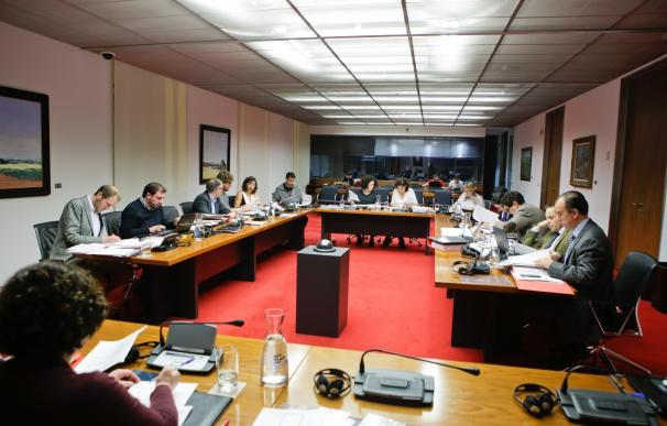 El Parlamento de Navarra rechaza suprimir la Dirección General de Paz y Convivencia