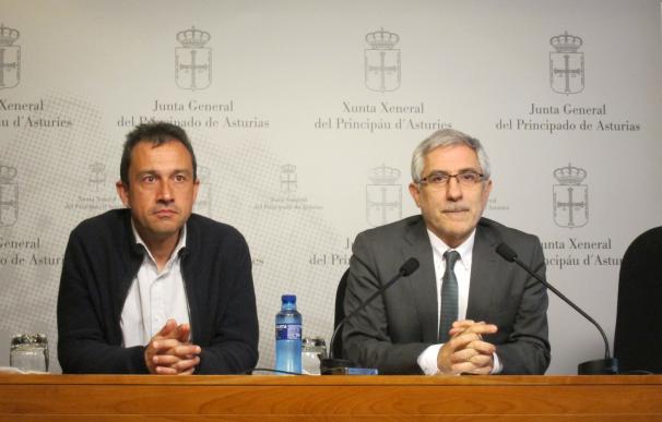 Llamazares (IU) pide a Javier Fernández que se reúna con Rajoy y evite el "disparate" de la Variante