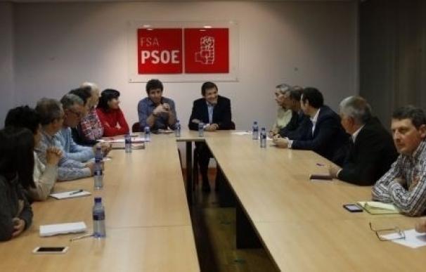 La Ejecutiva de la FSA-PSOE "cierra filas" en torno a Javier Fernández