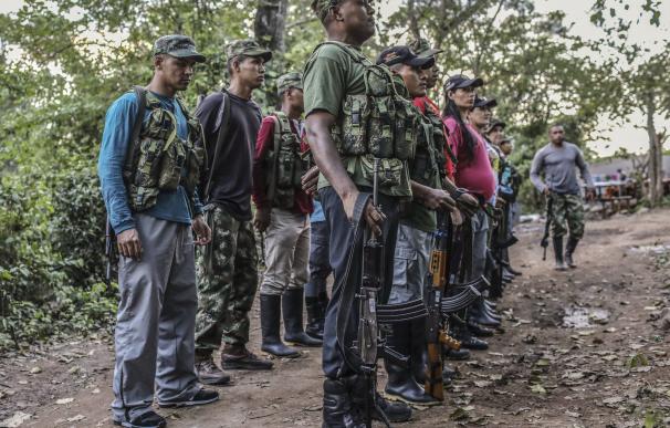 Las FARC entrega una lista de 6.804 guerrilleros en zonas de desarme
