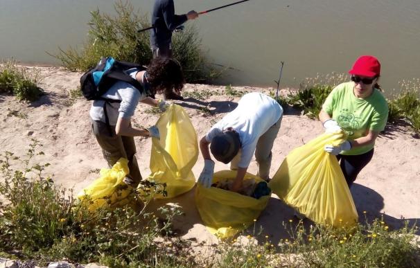 Cerca de 600 voluntarios y vecinos retiran 8.000 kilos de residuos en los márgenes de los ríos de la Comunitat