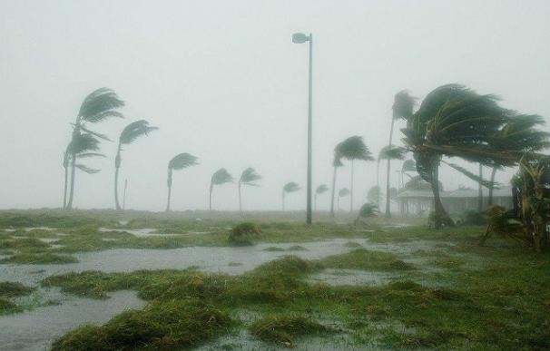 Álava y Vitoria destinan 52.000 euros a la rehabilitación de edificios destruidos por el huracán Matthew en Cuba