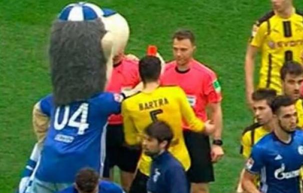 La mascota del Schalke 04 mostró la tarjeta roja... ¡al árbitro!