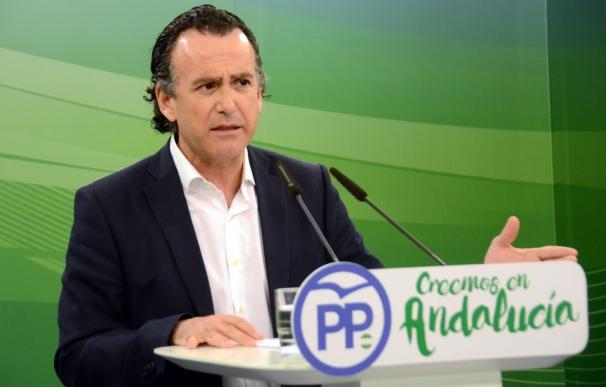 PP-A critica que Díaz "pase tres días en Canarias en lugar de activar su gobierno, instalado en la inacción"
