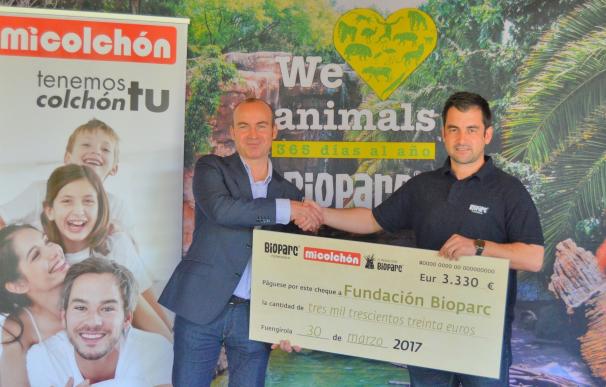 Una empresa malagueña dona 3.300 euros a la Fundación Bioparc para la conservación del orangután de Borneo