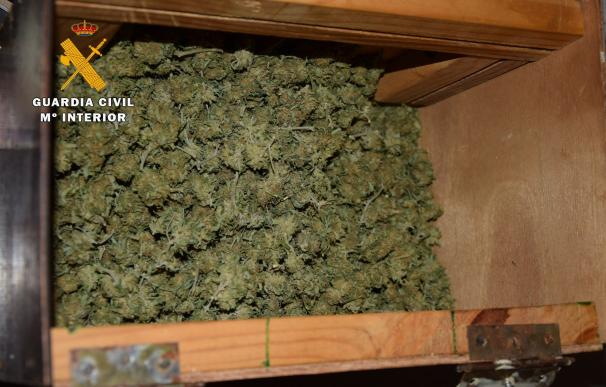 Ocho detenidos al interceptar 212 kilos de marihuana oculta entre fruta con destino a Polonia