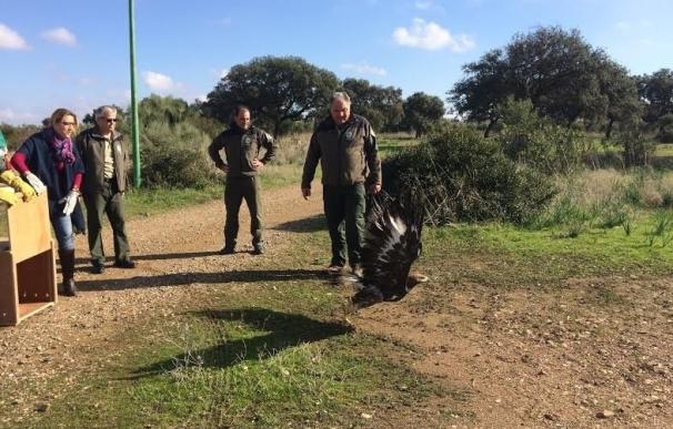 Medio Ambiente libera en Guadalcázar un águila real recuperada en el CREA de Los Villares