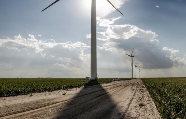 El sector eólico advierte que la "complejidad" de la subasta de renovables puede abocar a procesos judiciales
