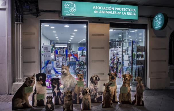 Perros "reales" que buscan un hogar contarán su historia en los comercios mediante carteles