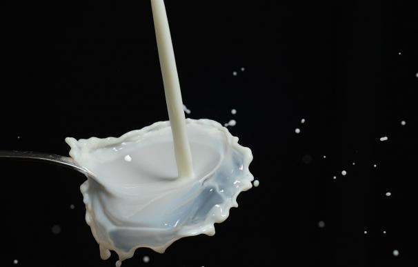 UPA pide que las etiquetas de todos los lácteos indiquen el origen de la leche