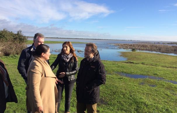 Fiscal señala que la marisma de Doñana se ha inundado en un 80 por ciento y está en un estado "excelente"