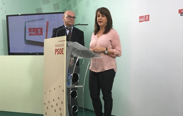 El PSOE pedirá al Ministerio de Hacienda que se pronuncie sobre una segunda prórroga del presupuesto municipal