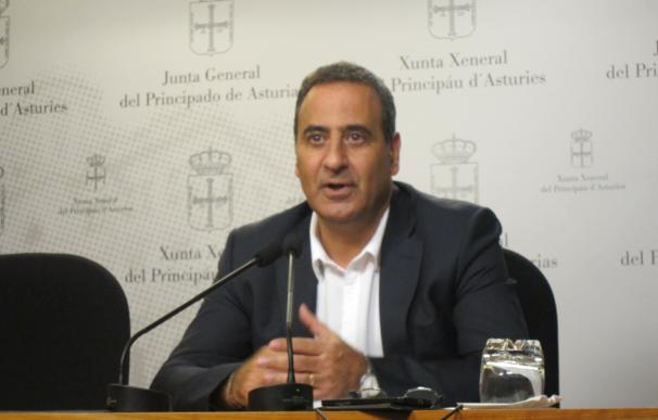 Lastra (PSOE) alerta del perjuicio para el desarrollo económico de Asturias del ancho internacional en Pajares