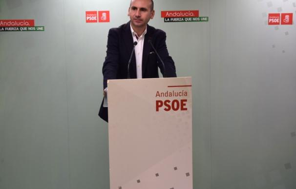 El PSOE-A pide a la oposición en Andalucía que "respete sus procedimientos internos"