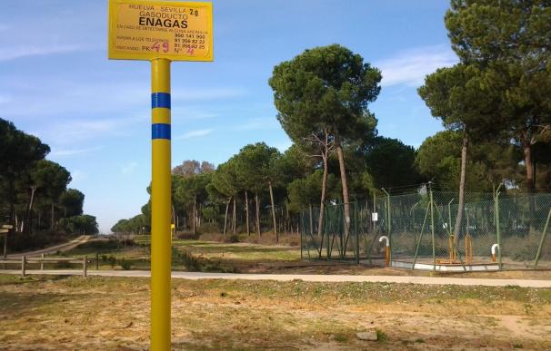 IU pedirá esta semana en el Parlamento Europeo la paralización cautelar del proyecto de Gas Natural en Doñana