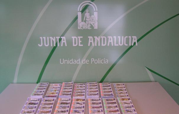 La Unidad de Policía adscrita a la Junta se incauta de unos 10.000 boletos de lotería ilegal de la OID