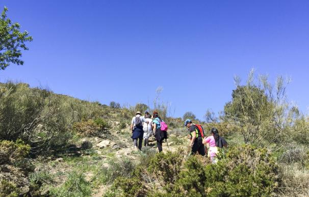 Diputación muestra a 16 senderistas la belleza de Tahal con la 'Ruta de los Pinares y los Almendros'