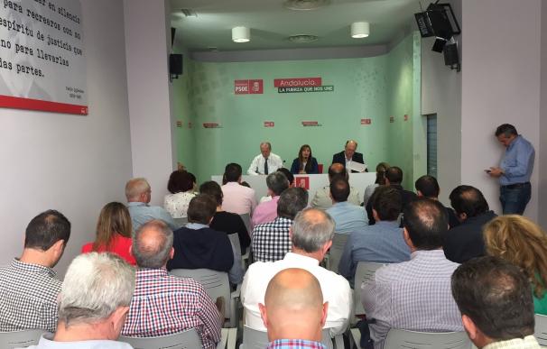 El Consejo de Alcaldes del PSOE rechaza "frontalmente" los PGE y comienza a analizar las enmiendas