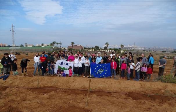Voluntarios plantan un nuevo bosque de Ciprés de Cartagena en Calblanque