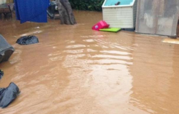 Las protectoras afectadas por las inundaciones piden ayuda urgente para arreglar sus instalaciones