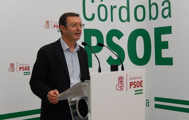 El PSOE exige al PP que "deje de enredar e intentar manchar" el nombre del partido con Fundación Guadalquivir