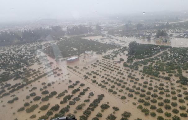 Asaja prepara el protocolo para indemnizaciones por inundaciones en cultivos de Málaga