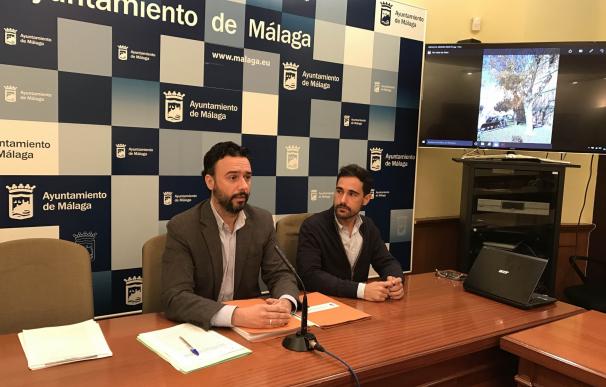 El Ayuntamiento de Málaga sustituye el arbolado viario que genera situaciones de riesgo