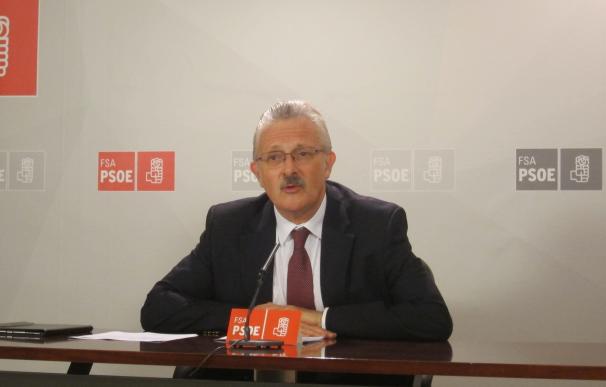 El PSOE iniciará la próxima semana contactos para alcanzar "un acuerdo amplio" sobre la nueva Ley de Seguridad Ciudadana