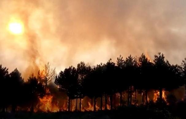 La Guardia Civil vincula la oleada de fuegos con el fin de los acotamientos al pastoreo