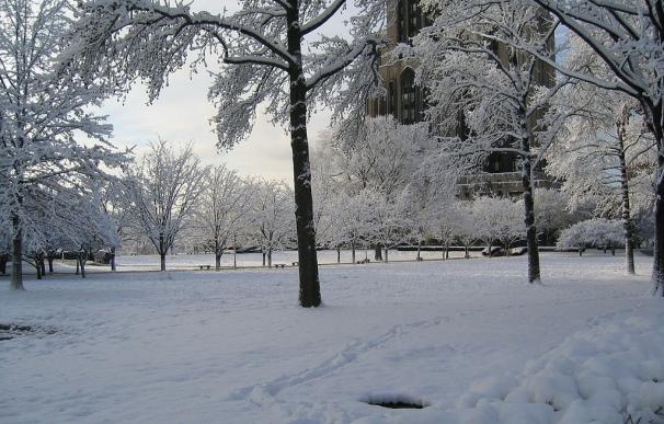 El invierno comenzará el 21 de diciembre y durará 88 días y 23 horas