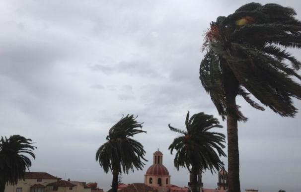 El Gobierno de Canarias activa la situación de alerta en La Palma y Tenerife por fuertes vientos