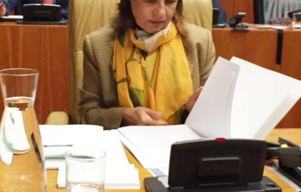 Blanco-Morales reivindica que el objetivo de déficit "se ajuste a la realidad social y económica" de Extremadura