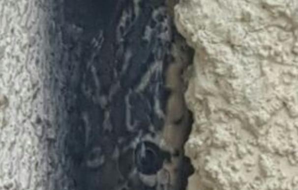 Localizan una serpiente atrapada entre dos paredes de una instalación eléctrica de Alboraya