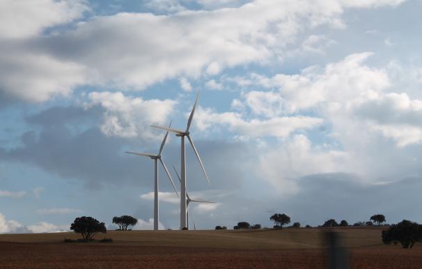 APPA ve un "grave error" de Energía al "enfrentar las renovables en la subasta"