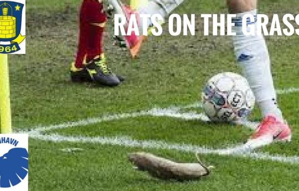 Los fans del Brondby lanzan ratas muertas a los jugadores del Copenhague