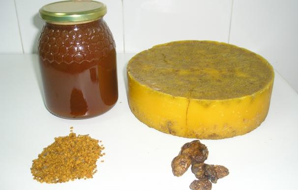 Medio Rural repartirá 25.000 euros de ayudas para mejorar la producción y comercialización de la miel