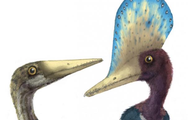 Los dinosaurios voladores se parecían más a los reptiles que a las aves
