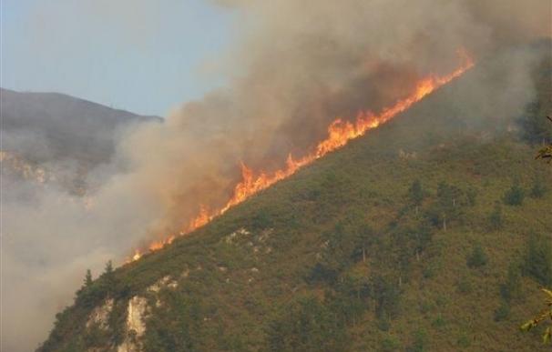 Un total de 16 incendios forestales permanecen activos en Asturias