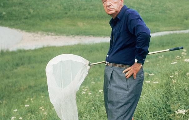 Los expertos confirman las intuiciones de Nabokov sobre los lepidópteros
