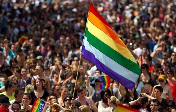 La prohibición del matrimonio homosexual es constitucional en Francia