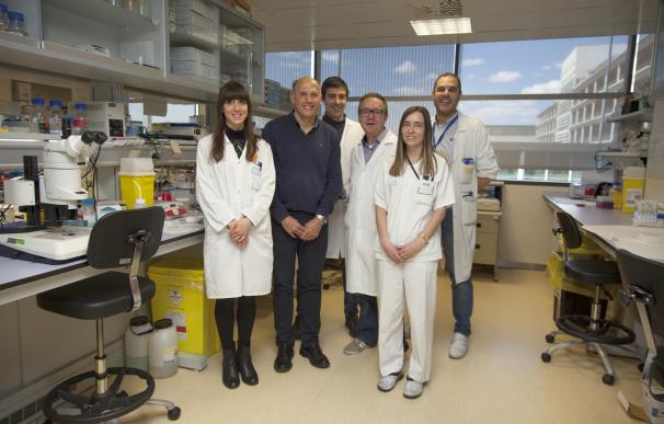 Profesionales CIBIR y hospital Marsella participan en una sesión de trabajo conjunta sobre investigación contra cáncer