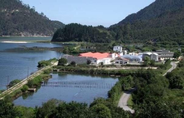 El Gobierno de Cantabria resuelve la concesión de la planta de acuicultura de Tinamenor a favor de Naturix