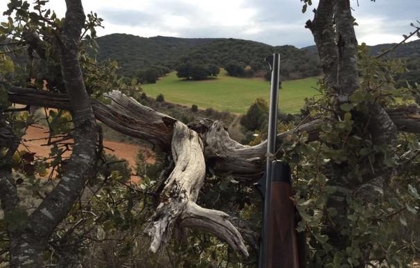 La "industria" de la caza afecta al 80% del territorio español e impacta en el equilibrio natural, según Ecologistas