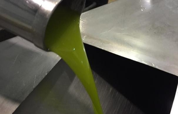 La producción de aceite de oliva a cierre de marzo crece un 11% sobre la media de las 4 campañas anteriores