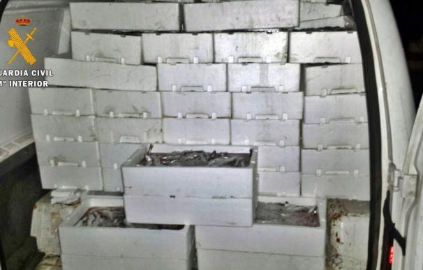 Intervenidos en Almendralejo 500 kilos de pescado en una furgoneta sin "mínimas condiciones" de conservación
