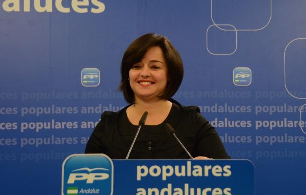 Pérez (PP), a escasas horas de iniciarse la votación: "No se dan garantías de que se celebre con transparencia"